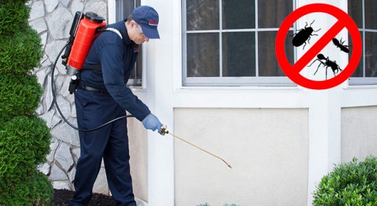 Payas Uçan Haşere İlaçlama böcek ilaçlama ve haşere kontrolü — ilaclama-tr.com